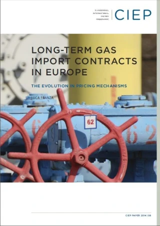 Long-Term Gas Import Contracts in Europe - CIEP